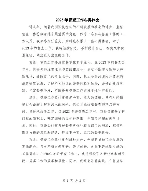 2023年督查工作心得体会