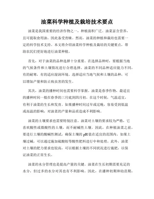 油菜科学种植及栽培技术要点