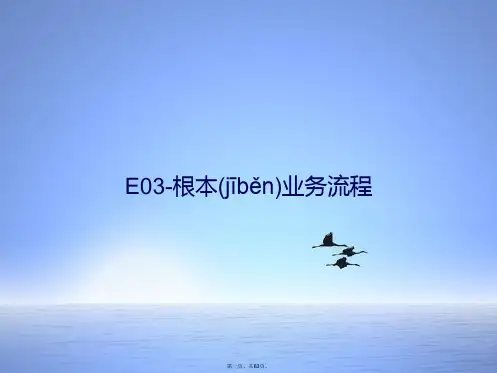 E基本业务流程