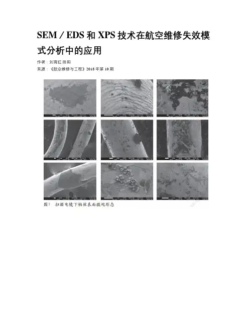 SEM／EDS和XPS技术在航空维修失效模式分析中的应用