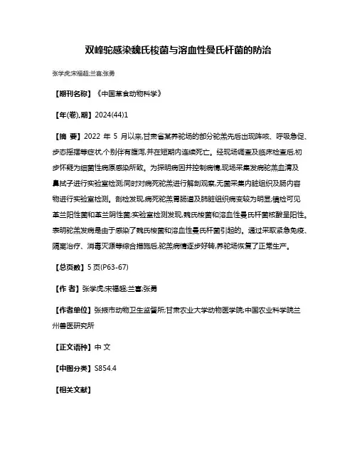 双峰驼感染魏氏梭菌与溶血性曼氏杆菌的防治
