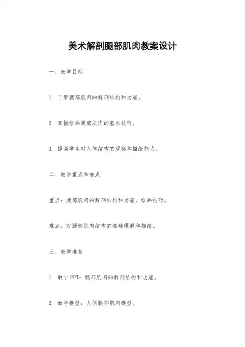 美术解剖腿部肌肉教案设计