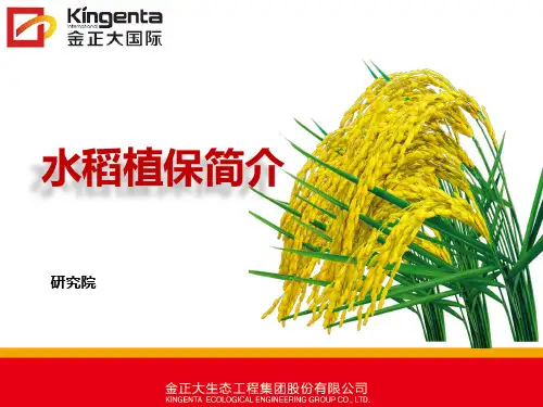 水稻植保简介