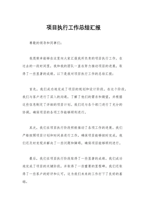 项目执行工作总结汇报