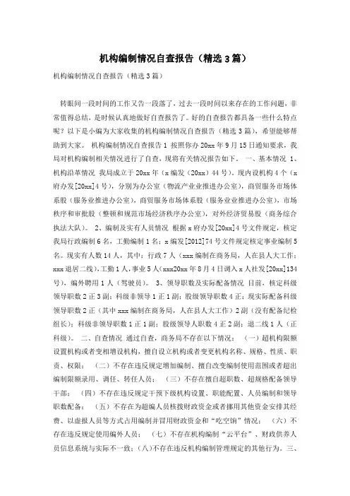 机构编制情况自查报告(精选3篇)