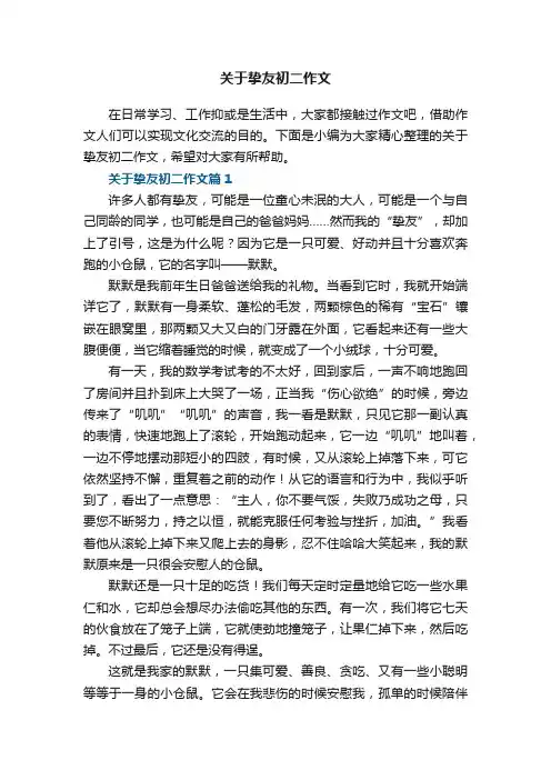 关于挚友初二作文5篇
