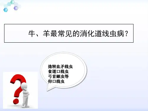 常见的牛羊仰口线虫病 谢鑫