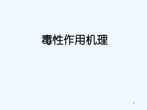 毒性作用机理PPT课件
