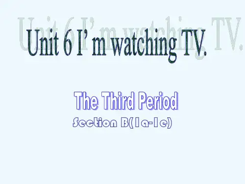 《Unit 6 I'm watching TV》课件3