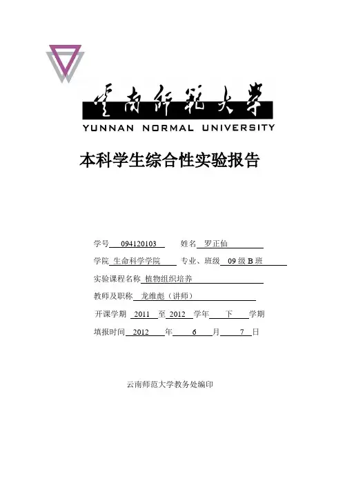 胡萝卜愈伤组织的诱导培养