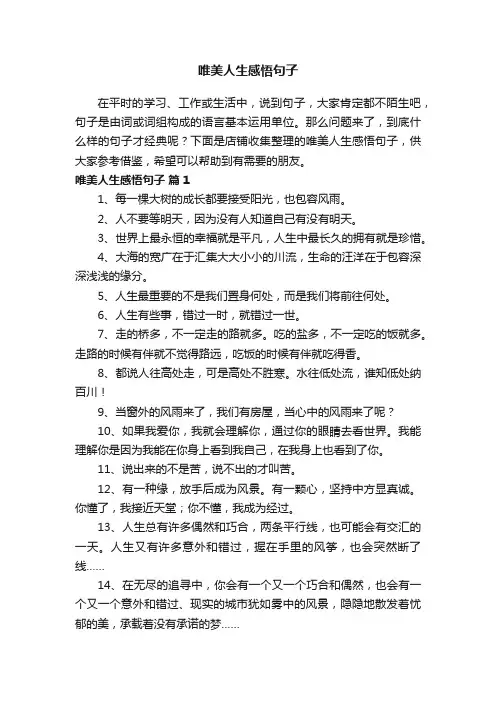 唯美人生感悟句子