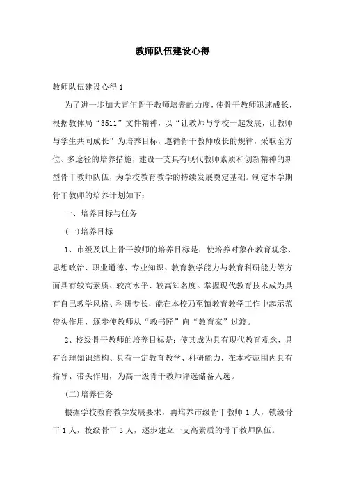 教师队伍建设心得
