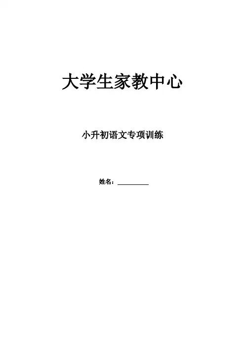 小升初语文专项训练完整版