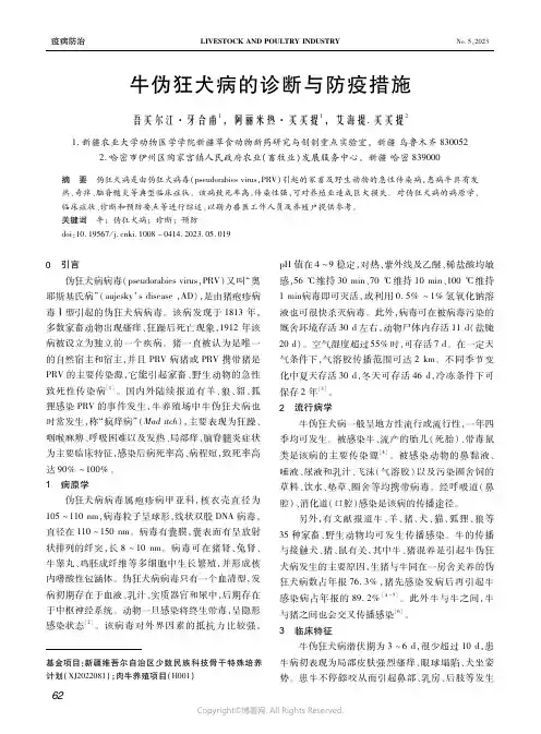 牛伪狂犬病的诊断与防疫措施