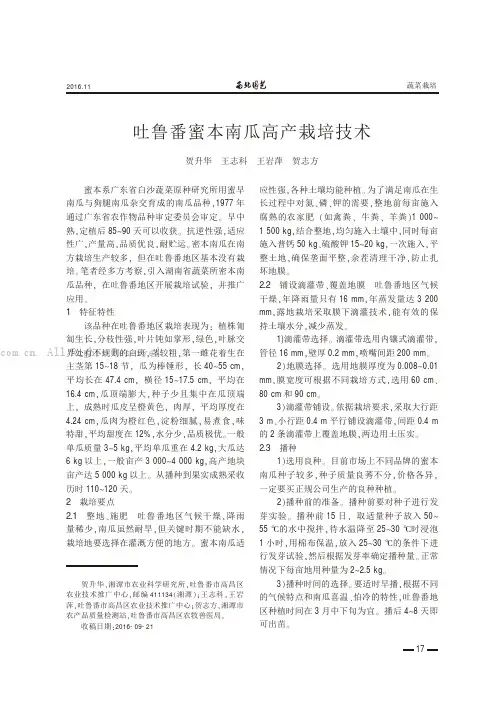 吐鲁番蜜本南瓜高产栽培技术