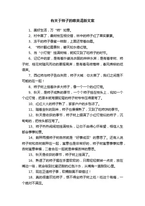 有关于柿子的唯美清新文案