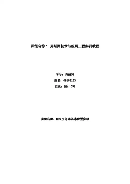 DNS服务器的配置.doc