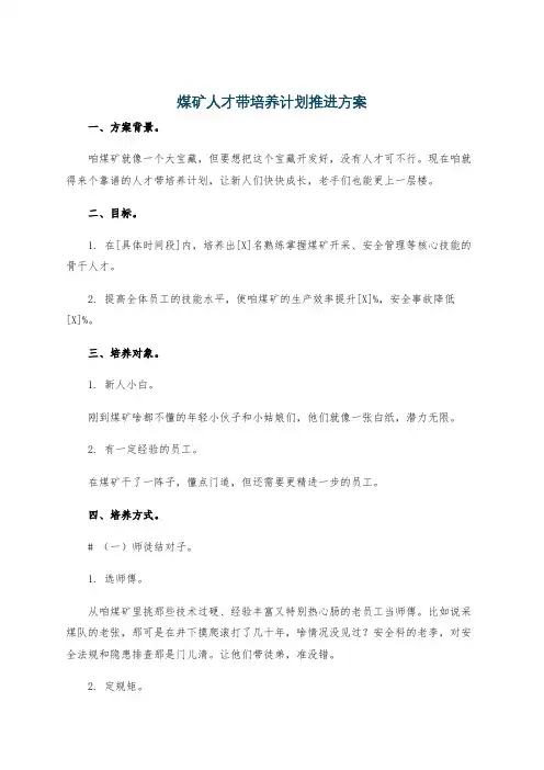 煤矿人才带培养计划推进方案
