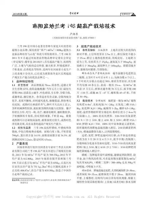 南阳盆地兰考198超高产栽培技术