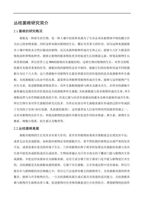 丛枝菌根研究简介