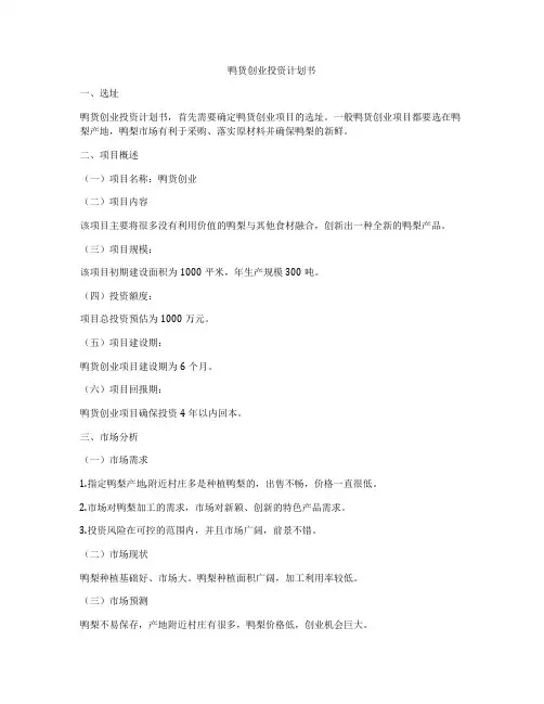 鸭货创业投资计划书
