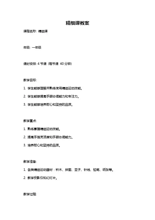 精细课教案