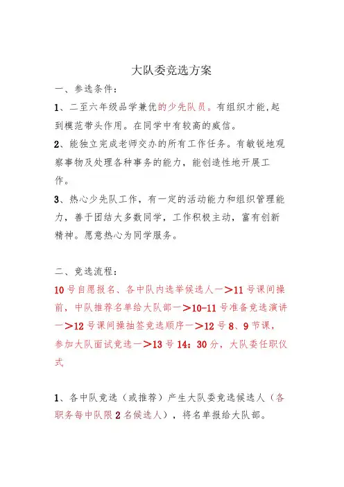 大队委竞选方案(精简)