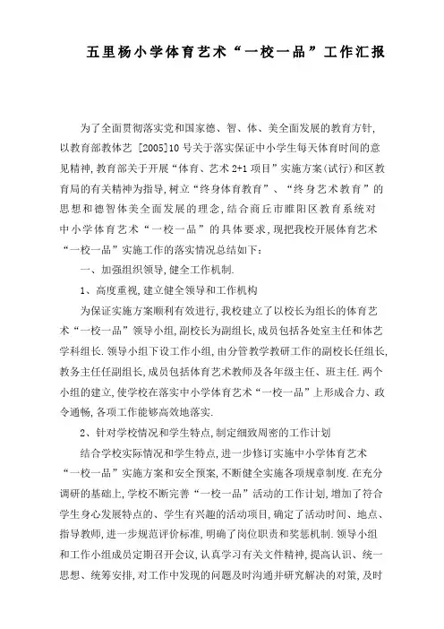 体育艺术一校一品工作汇报