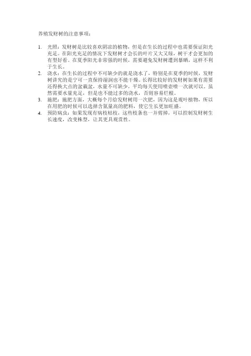 养殖发财树的注意事项