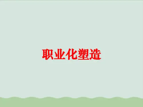 职业化塑造(ppt 45页)