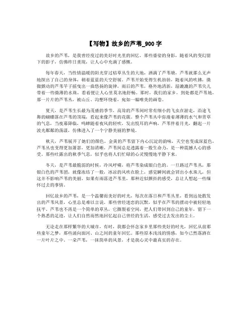 【写物】故乡的芦苇_900字