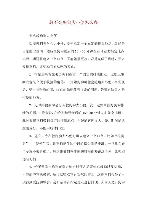 教不会狗狗大小便怎么办