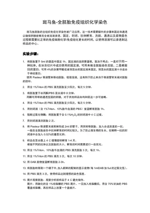 斑马鱼-全胚胎免疫组织化学染色