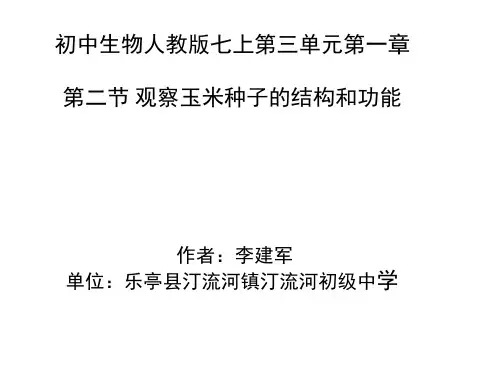 玉米种子的结构和功能 