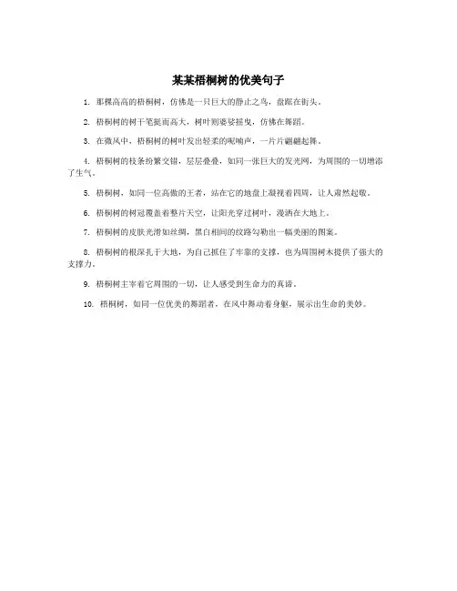 某某梧桐树的优美句子