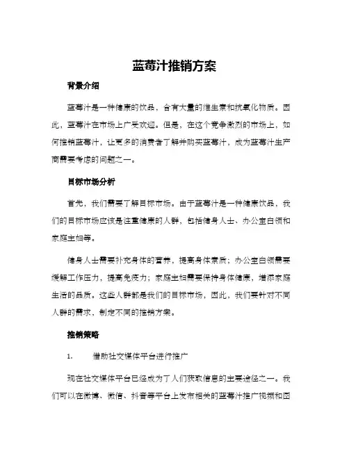 蓝莓汁推销方案