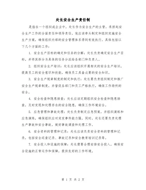处长安全生产责任制（二篇）