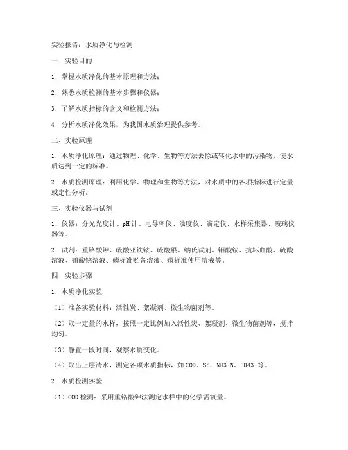 水质的实验报告