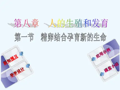 第一节精卵结合孕育新的生命