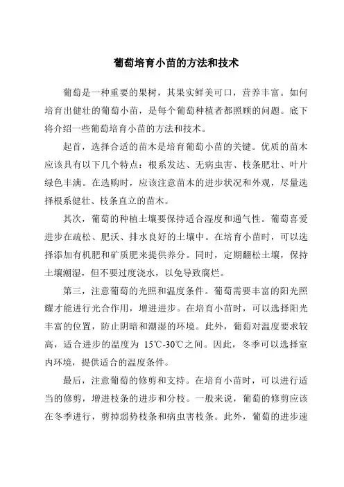 葡萄培育小苗的方法和技术