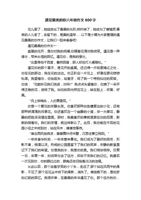 遇见最美的你六年级作文600字