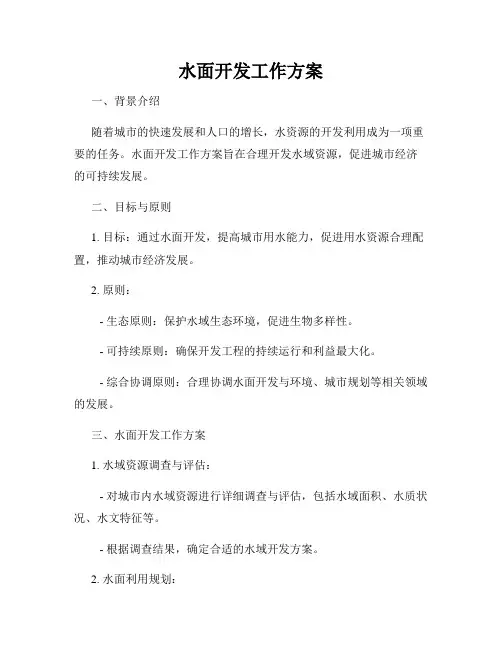 水面开发工作方案