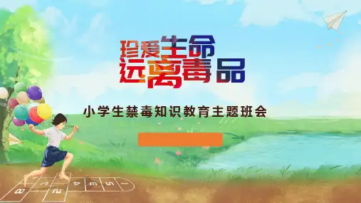 小学生禁毒教育安全教育主题班会PPT课件