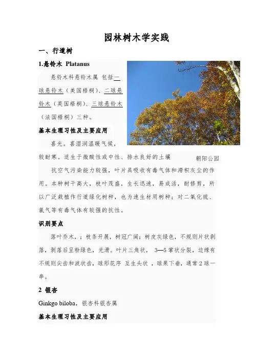 北方园林绿化常用树种、花卉及用途