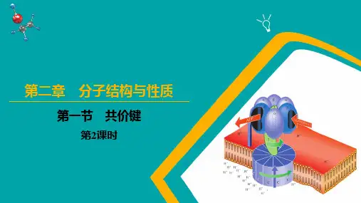 共价键(2)高二化学(人教版2019选择性必修2)