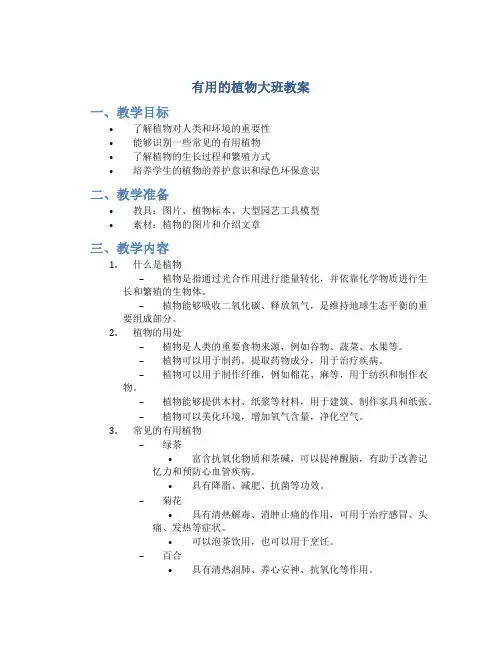 有用的植物大班教案