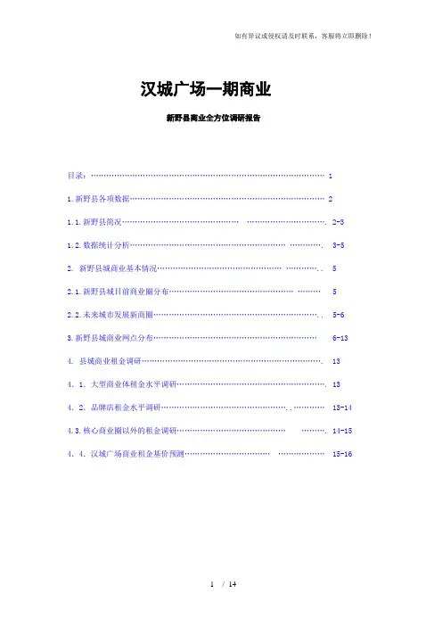 河南汉城广场一期商业新野县商业全方位调研报告