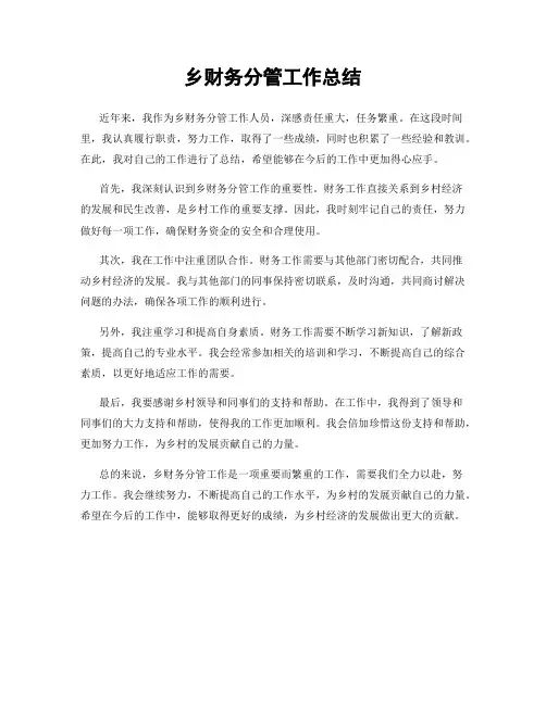 乡财务分管工作总结