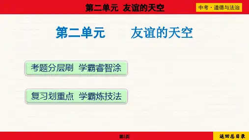 2024年中考道德与法治总复习考点梳理与培优训练第二单元友谊的天空