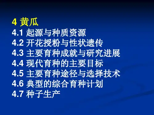 黄瓜育种